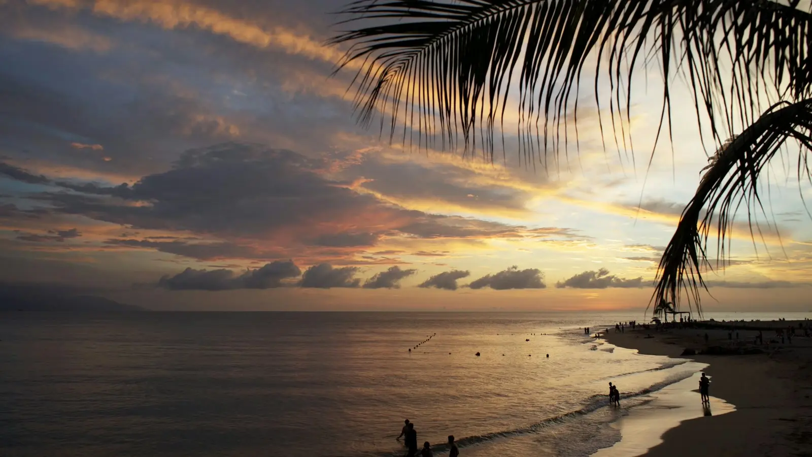 Sunset over the beach under a palm tree in Puerto Vallarta